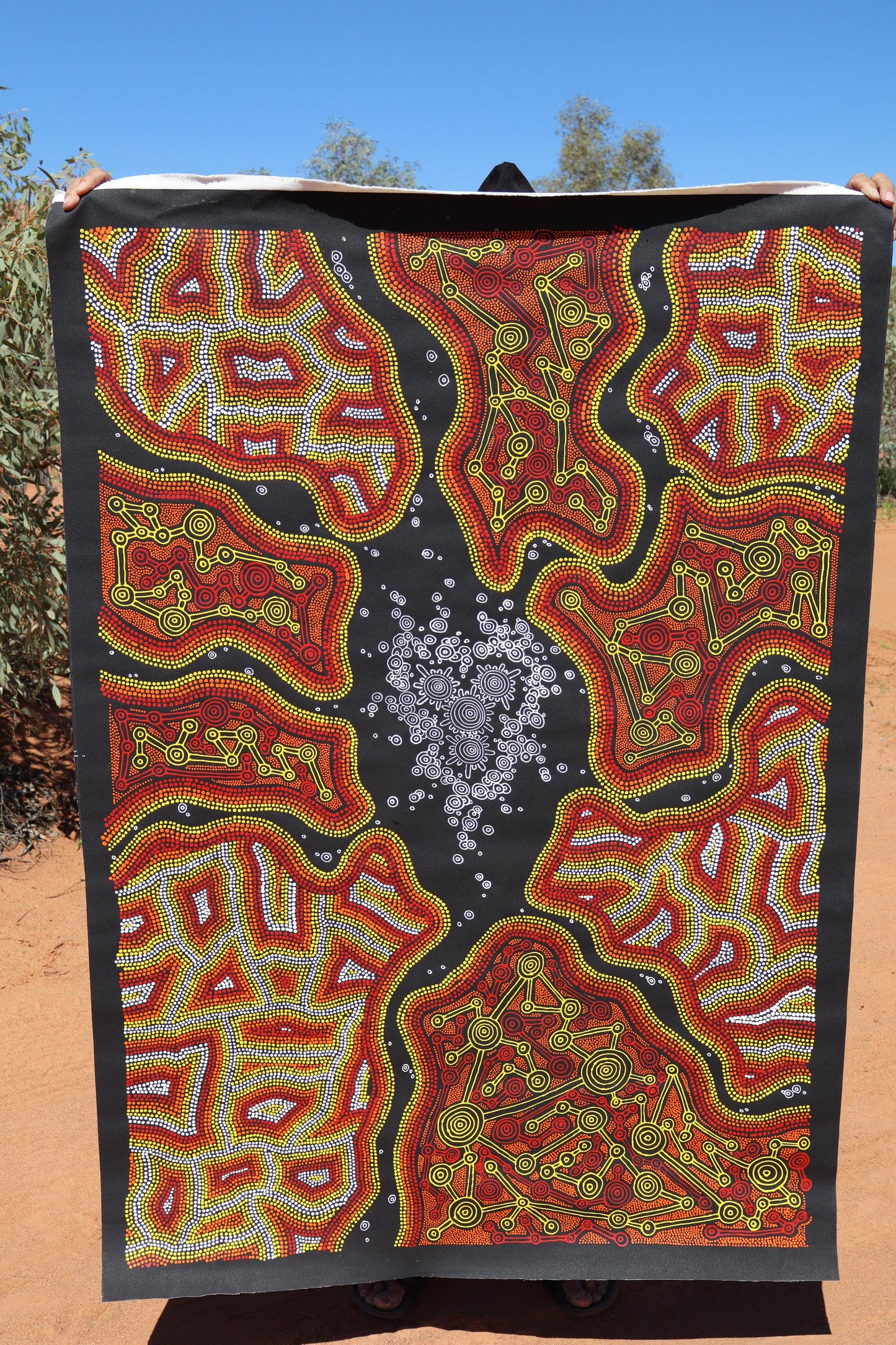 Desert Connections - Shannon Lander