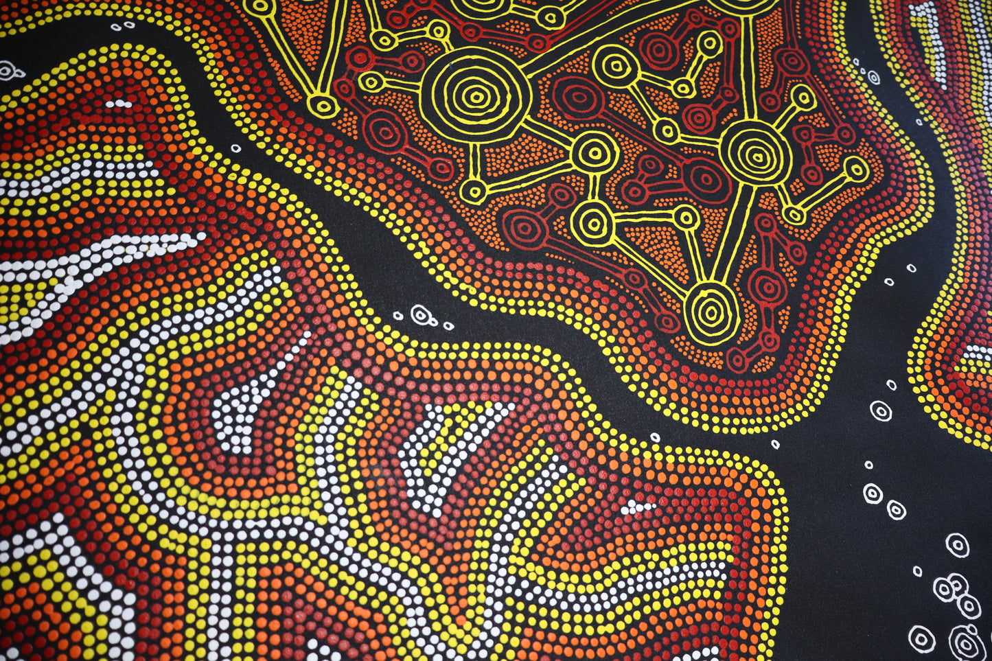 Desert Connections - Shannon Lander